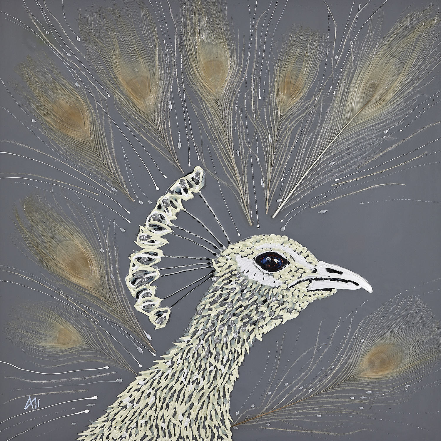 Albino Peacock (small)