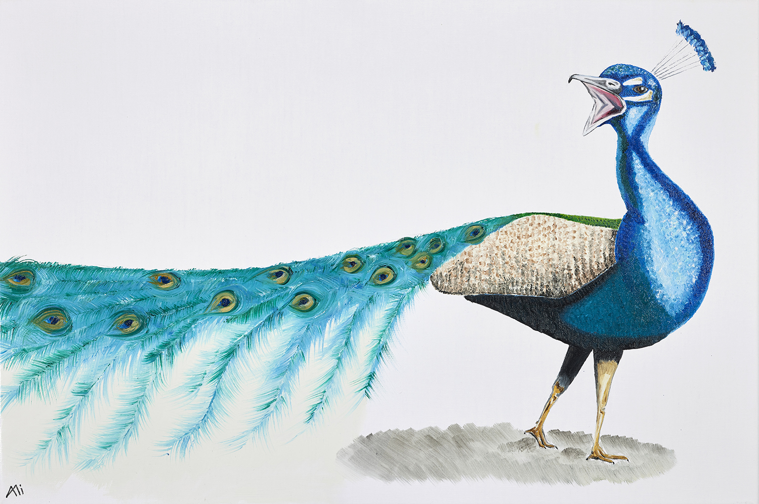 The Strut