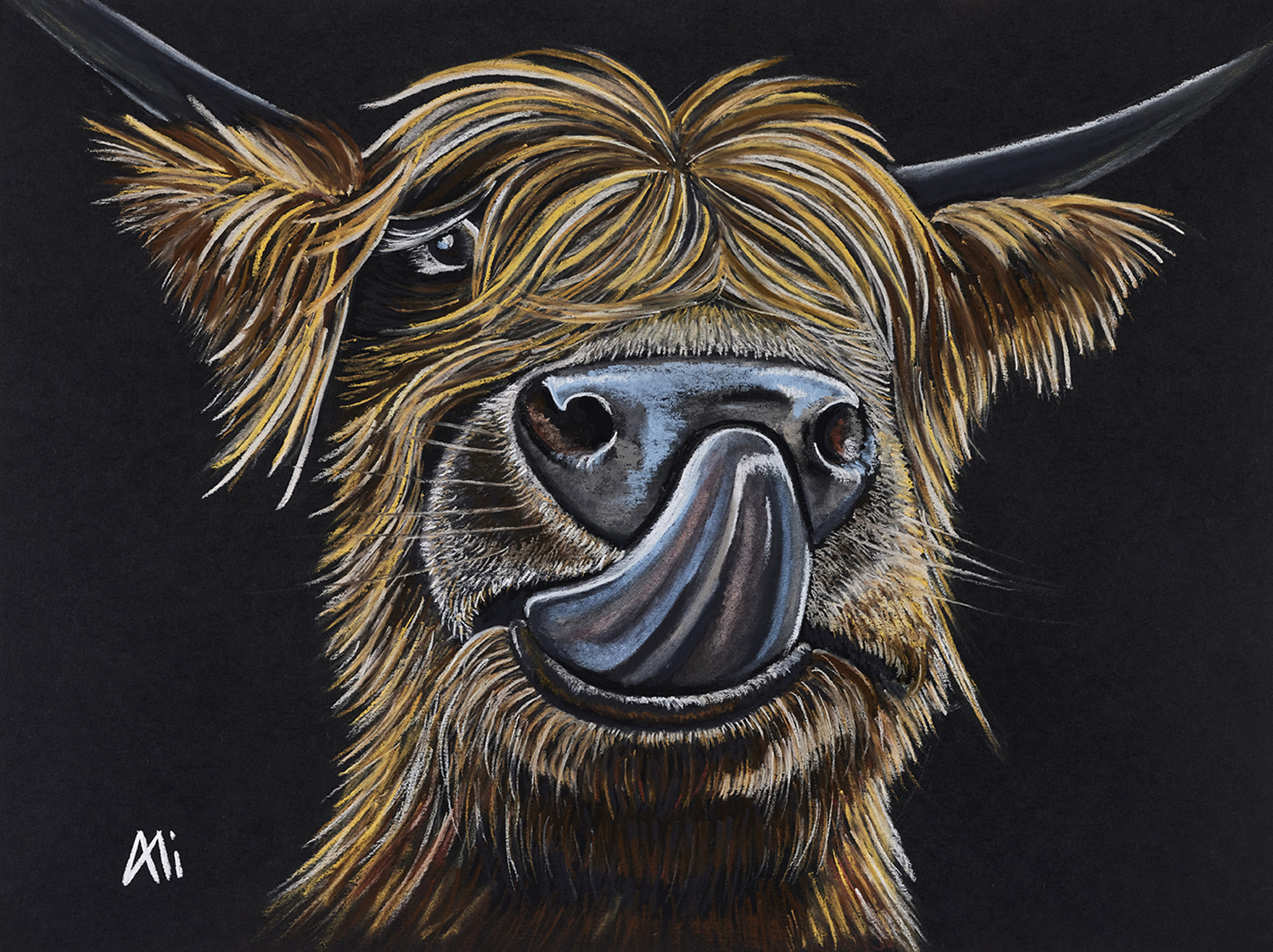 Highland Cow Highland Cow